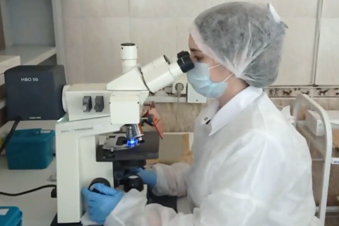 флуоресцентный микроскоп